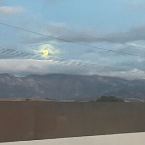 Los Angeles based Designer looking to give some treasures a home